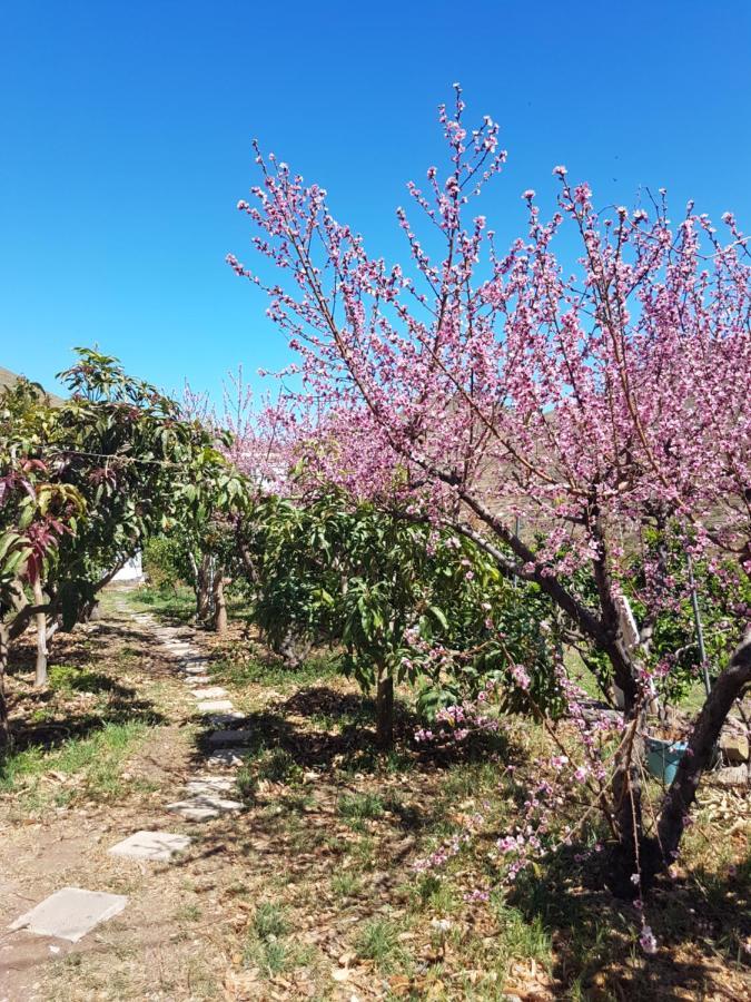 Casa Rural En Santa Cruz Los Campitos Zewnętrze zdjęcie